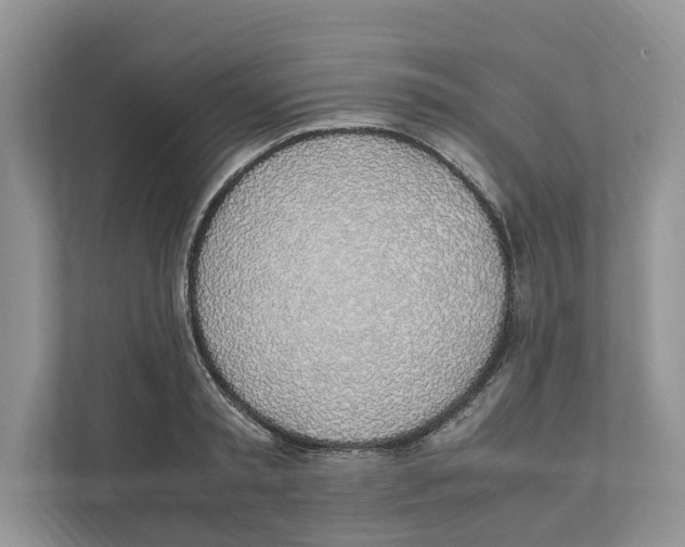 X0000110910797200907161457