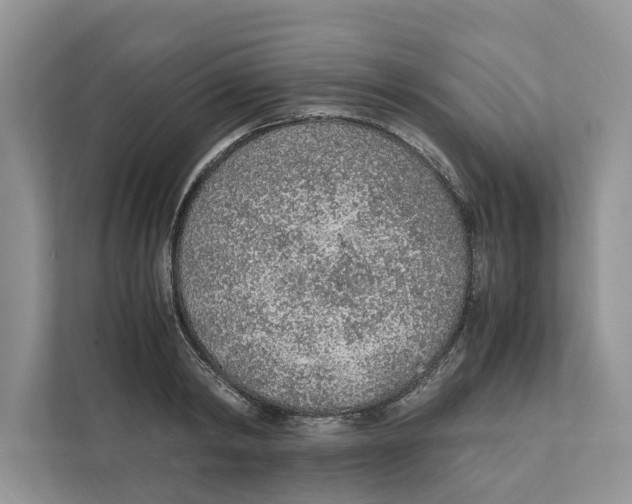 X0000110910798200907161457