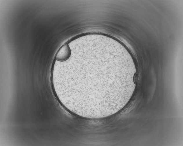 X0000110910799200907161457