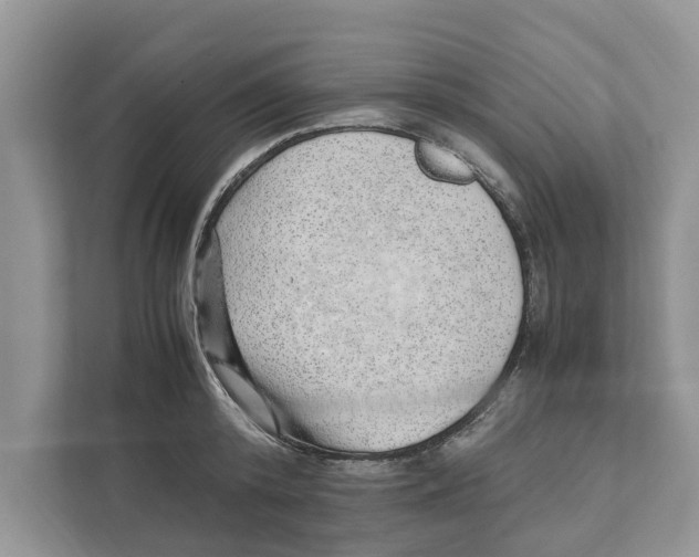 X0000110910800200907161457