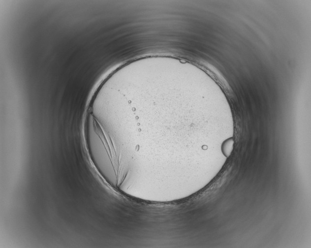 X0000110910804200907161457