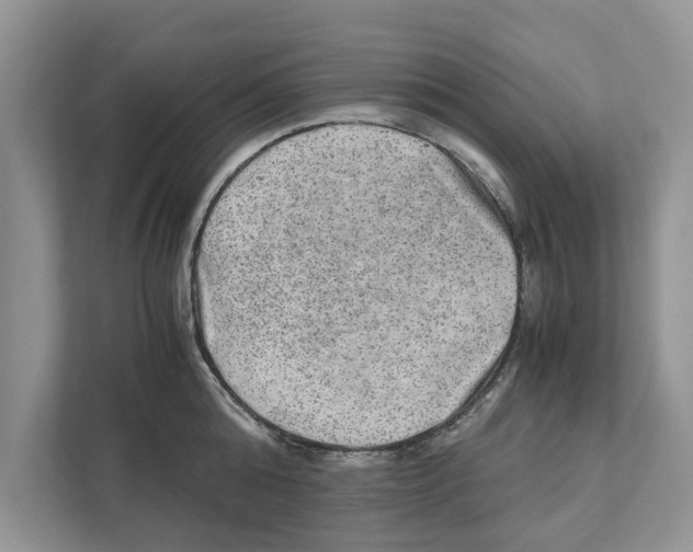 X0000110910808200907161457