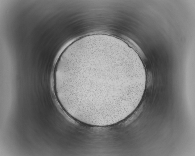 X0000110910812200907161457