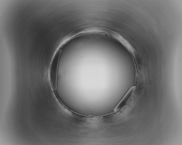 X0000110910813200907161457