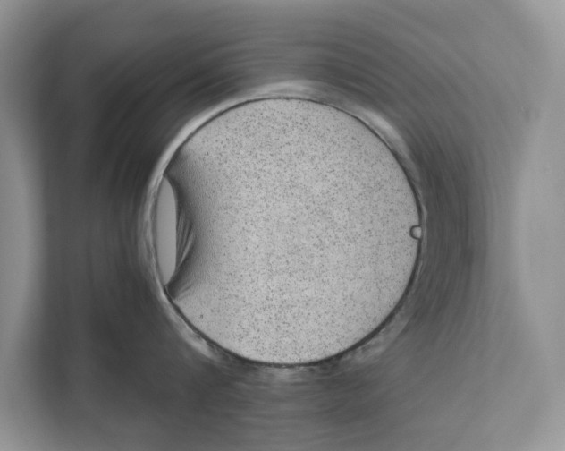 X0000110910816200907161457