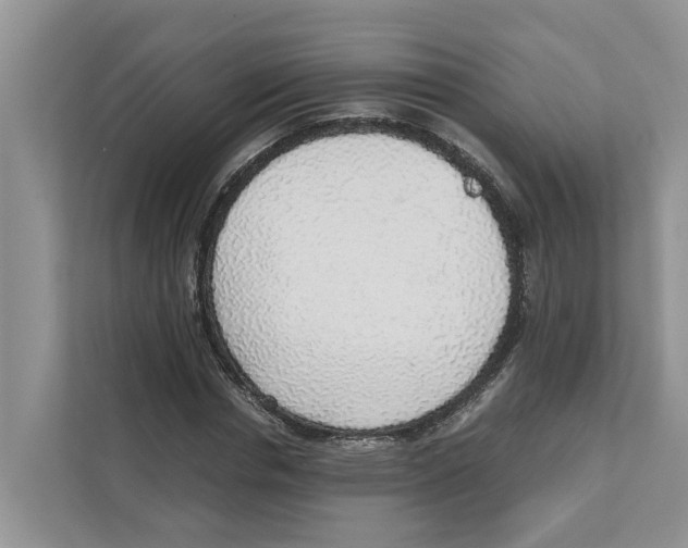 X0000110910826200907161457