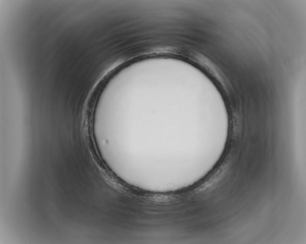 X0000110910827200907161457