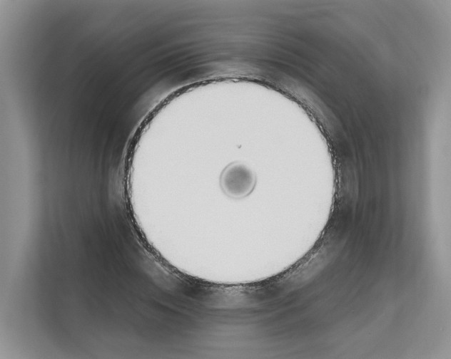 X0000110910828200907161457