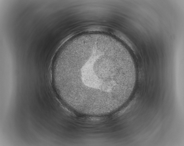 X0000110910829200907161457