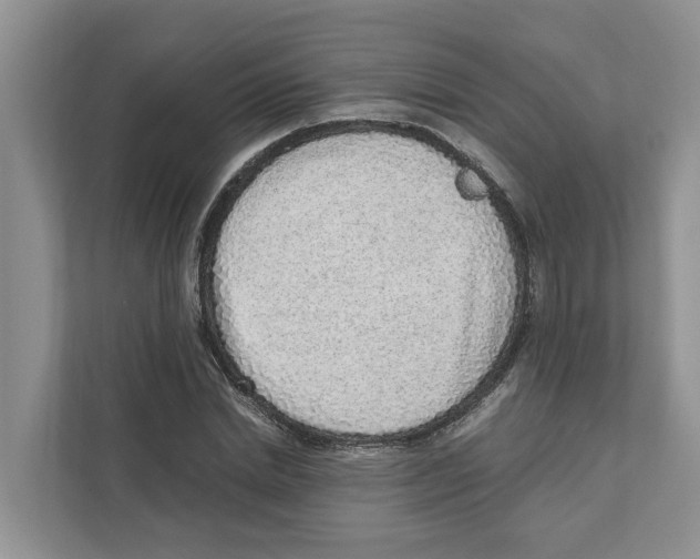 X0000110910830200907161457