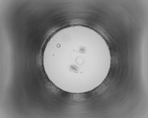 X0000110910832200907161457