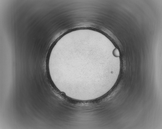 X0000110910834200907161457