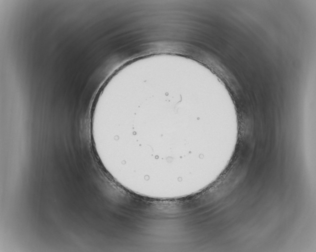 X0000110910836200907161457