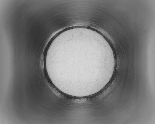 X0000110910838200907161457