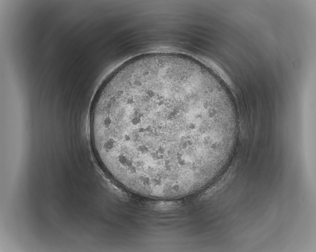 X0000110910839200907161457