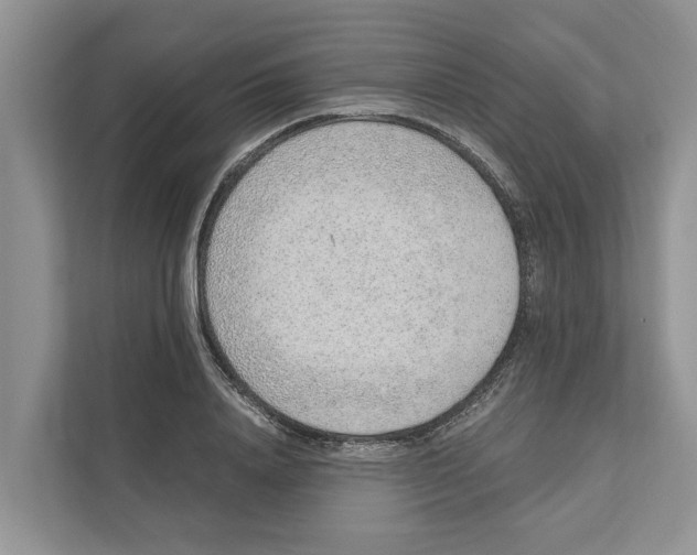 X0000110910840200907161457