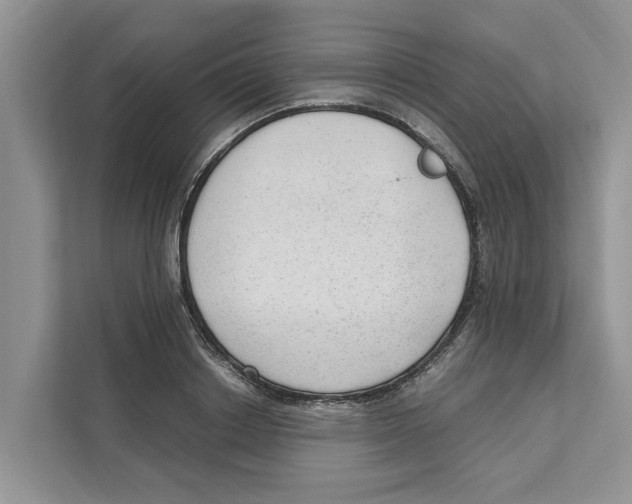 X0000110910842200907161457