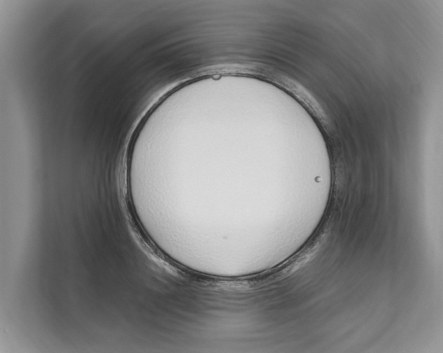 X0000110910844200907161457