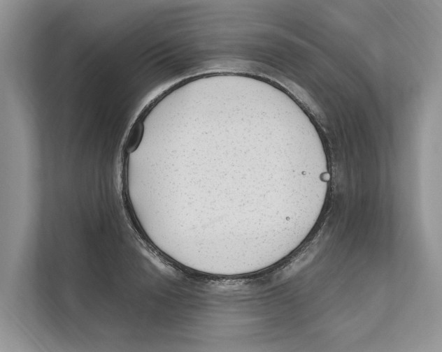 X0000110910846200907161457