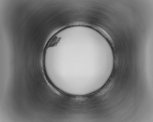 X0000110910847200907161457