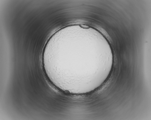 X0000110910850200907161457