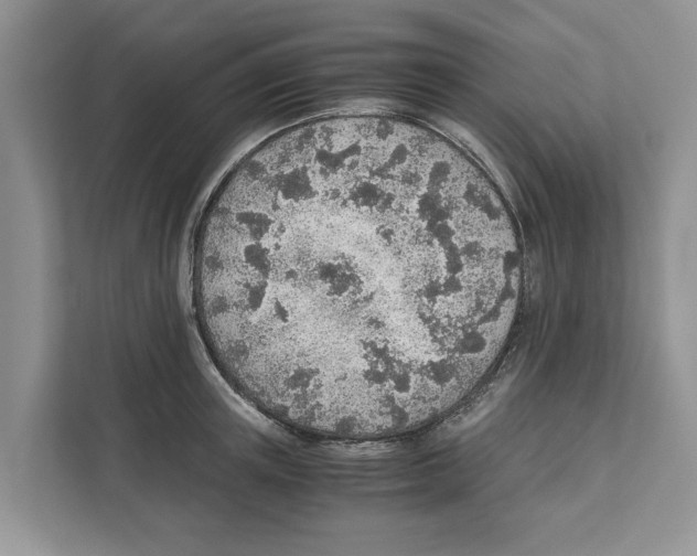 X0000110910851200907161457