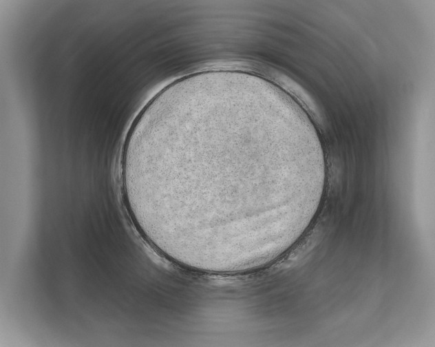 X0000110910852200907161457