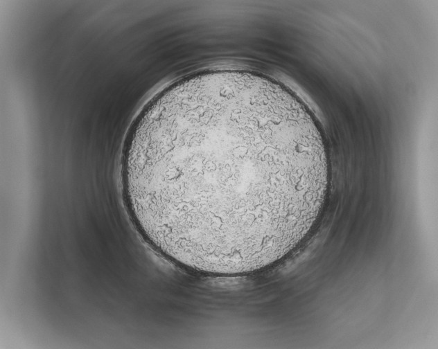 X0000110910853200907161457