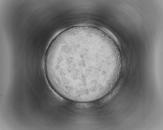 X0000110910855200907161457