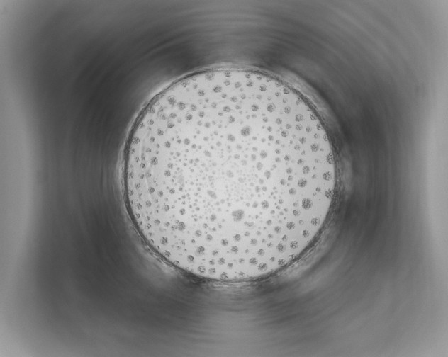 X0000110910856200907161457