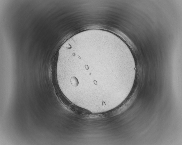 X0000110910857200907161457