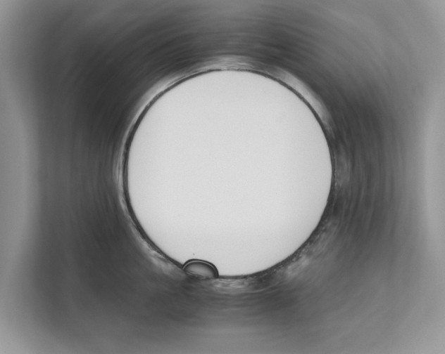 X0000110910861200907161457