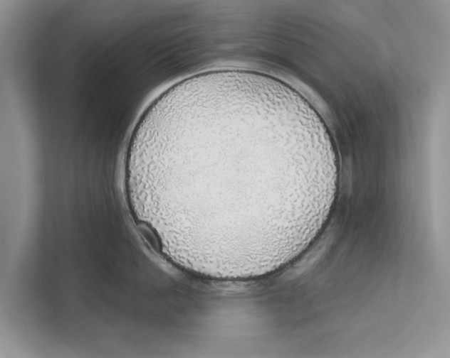 X0000110910862200907161457