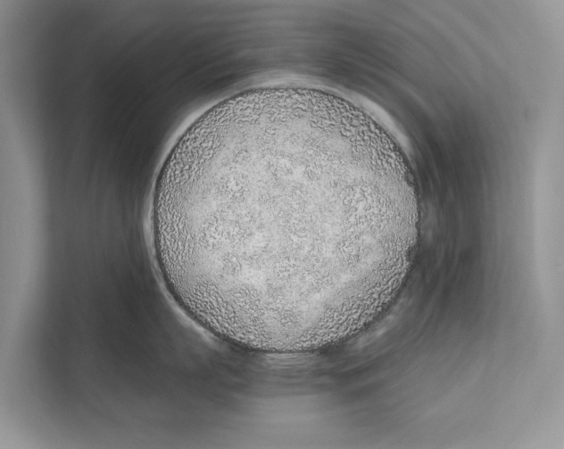 X0000110910863200907161457