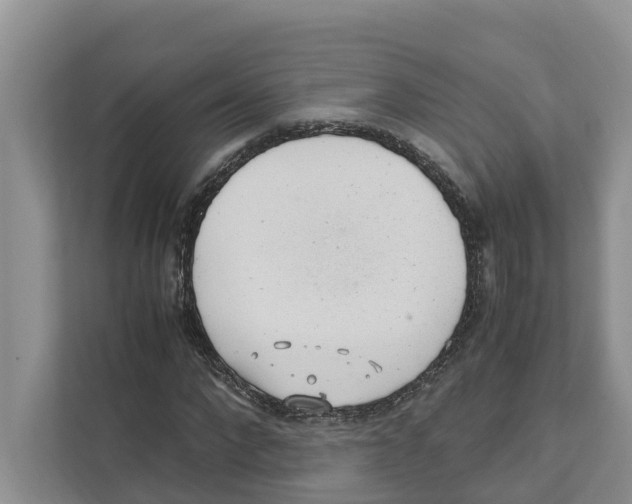 X0000110910872200907161456