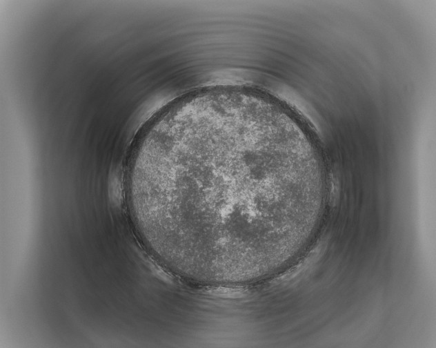 X0000110910874200907161456