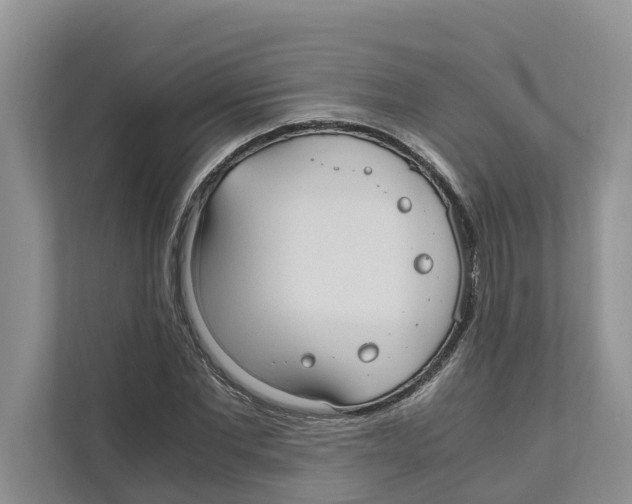 X0000110910877200907161456