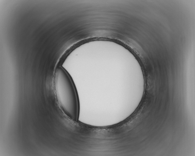 X0000110910880200907161456