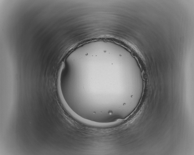 X0000110910881200907161456