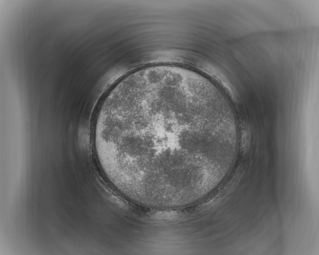 X0000110910882200907161456