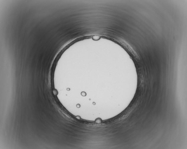 X0000110910884200907161456