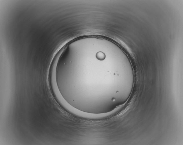 X0000110910885200907161456