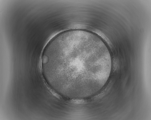 X0000110910886200907161456