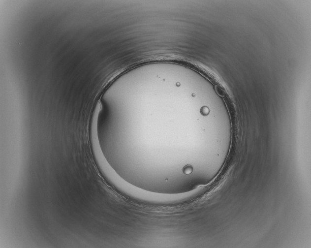 X0000110910889200907161456