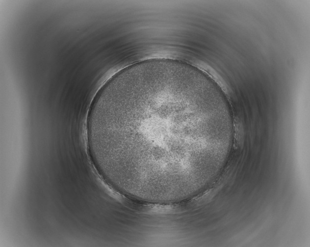 X0000110910890200907161456