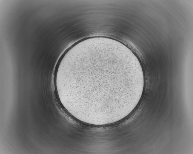 X0000110910892200907161456