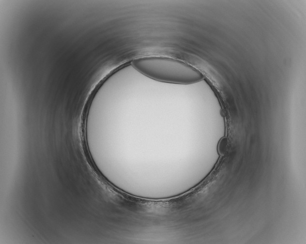 X0000110910893200907161456