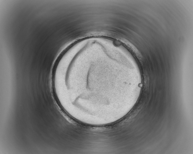 X0000110910894200907161456