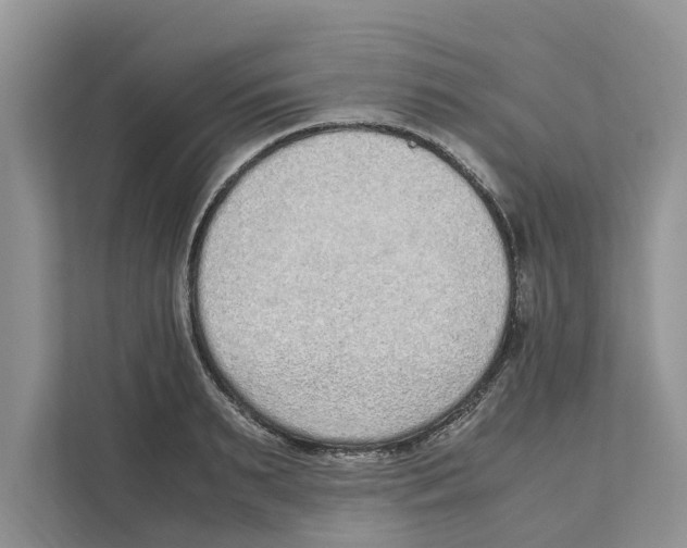 X0000110910895200907161456