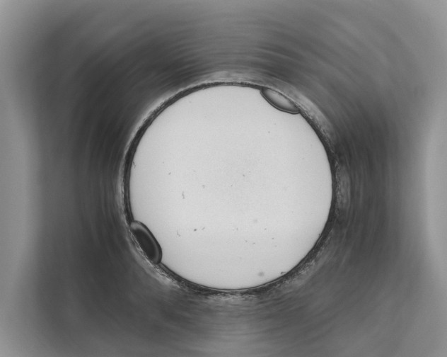 X0000110910896200907161456